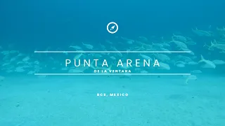 Punta Arena de La Ventana Snorkel Nov 6 2022