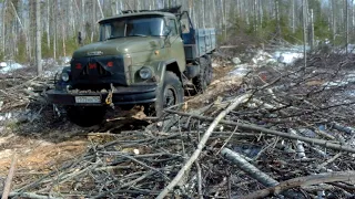 Т40 ам снова в лесу  Брат на Зил 131 Готовим дрова.