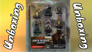 Icon of the Realms Starter Set Miniature Unboxing & Review