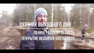 Открытие весенней охоты 2020 в южных районах Ленинградской области