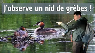 BALADE DÉTENTE EN NATURE : Observation d'oiseaux et d'un nid !