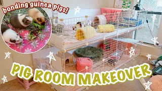 HUGE GUINEA PIG ROOM MAKEOVER + TRIO BONDING! ❤ PET VLOG