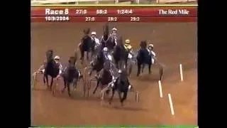 2004 Red Mile WINDSONG'S LEGACY Kentucky Futurity Final