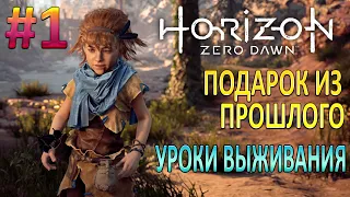 Horizon Zero Dawn - Прохождение Часть 1, Подарок из прошлого, Уроки выживания !!!
