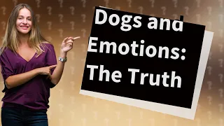 Do Dogs Really Experience Emotions Like Humans Do?