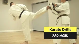 Karate Drills- Pad Work