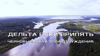 Pripyat River Delta and Peat Marshes. Chernobyl Exclusion Zone