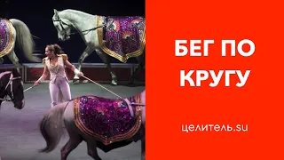 №42 Бег по кругу! Есть ли выход?