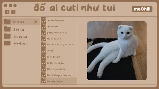 [playlist speed up chill] dự báo thời tiết nói hôm nay sẽ có nắng ở trong lòng em | Con Mèo Béo