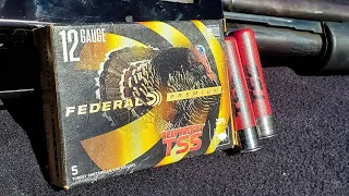 Turkey Hunting | Barrel Length Test | Federal TSS Review 🦃🦃🦃