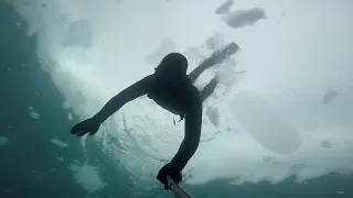 Весна . Море. Гребешок. freediving на о.Русском