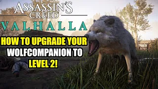 HOW TO UPGRADE YOUR WOLF COMPANION SKILL TO LEVEL 2 IN ASSASSINS CREED VALHALLA!