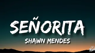 Shawn Mendes & Camila Cabello - Señorita (Lyrics)