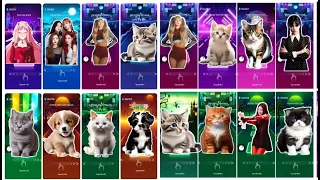 CUTE CATS VS DOGS MEGAMIX 1 HOUR TOCA TOCA DANCE BLACKPINK BTS SHAKIRA LADY GAGA IMAGINE DRAGONS