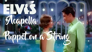 ELVIS PRESLEY - Acapella |  Puppet on a String  | New Edit 4K