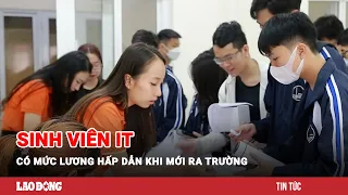 Hé lộ mức lương hấp dẫn của sinh viên IT mới ra trường | Báo Lao Động