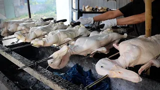 시장 입구까지 줄서는 역대급 오리 숯불구이 Roast Duck / Vietnamese street food