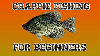 HOW TO CRAPPIE FISH!!!!! (crappie fishing 101)