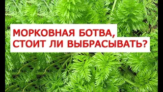 Морковная ботва, стоит ли выбрасывать Уникальные целебные свойства морковной ботвы 16 рецептов лечен