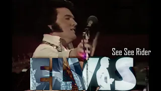 ELVIS PRESLEY - See See Rider  (June 1977) 4K