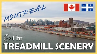 1 hour Virtual Run | Parc Jean-Drapeau Loop, Montreal | Treadmill Scenery [4k]