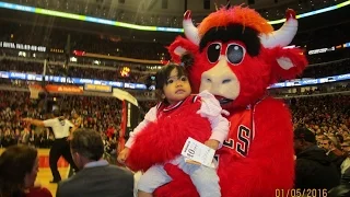 Benny the Bull Steals Lourdesmarnette!