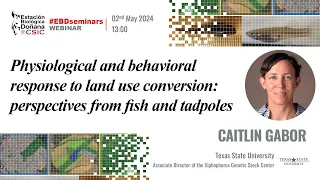 Seminarios EBD | Caitlin Gabor