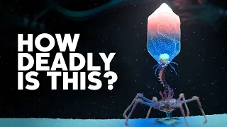 The Most Deadliest Virus on Earth: The Bacteriophage
