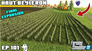 FINAL MASSIVE OLIVE GROVE EXPANSION | Farming Simulator 22 - Haut-Beyleron | Episode 101