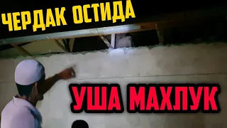 ДАХШАТЛИ МАХЛУК ЧЕРДАК ОСТИДА КУРИНДИ !