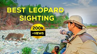 Leopard Safari at Rajaji Tiger Reserve (Uttarakhand 2023) - 4K Video Hindi