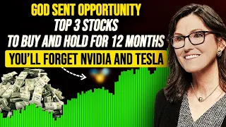 10x Bigger Than Nvidia, Mark My Words: Everyone Who Owns These 3 AI Stocks Will Become Millionaire