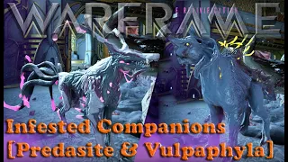 Warframe - Infested Companions [Predasite & Vulpaphyla Companions]