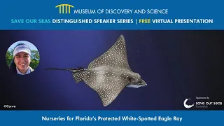 Save Our Seas Distinguished Speaker Series: Florida's Protected White-Spotted Eagle Ray