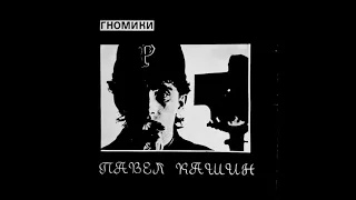 Павел Кашин - Гномики (Vinyl)