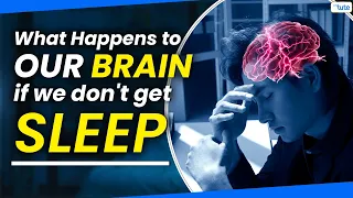 💤What Happens To Your Body And Brain If You Don't Get Sleep ? | Letstute