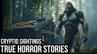 10 TRUE Disturbing Cryptid Sightings Horror Stories (Dogman,Sasquatch,Wendigo...)