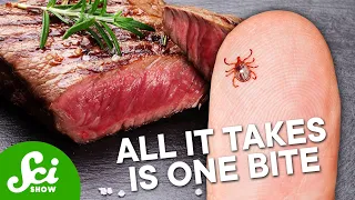 Ticks Can Spread An Allergy To… Red Meat?