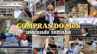 COMPRAS DO MÊS MORANDO SOZINHA - Vlog no mercado