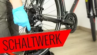 Shimano Schaltwerk wechseln - einfach & schnell - Fahrrad.org