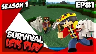 Survival Lets Play [S1] [#1] A NEW START! - Minecraft Pocket Edition (1.1.1)