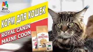 Корм для кошек Мейн-Кун Роял Канин | Обзор корма для котов | Royal Canin Maine Coon review