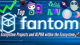 Top Fantom Ecosystem Gems | How to Setup Fantom Opera Wallet, Lucrative Staking APR's