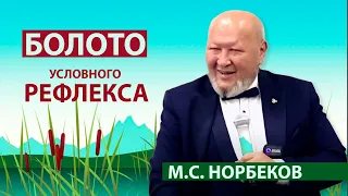 Болото условного рефлекса. Что чище ложка или клизменный аппарат? М.С. Норбеков