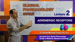 Autonomic Pharmacology (Ar) - Lec 02 - Adrenergic Receptors