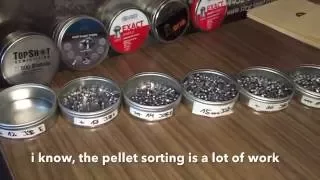 Pellet sorting for more accuracy at Airgun Rifle Shooting