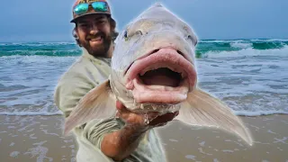 First Time EVER Eating a BIG UGLY... CATCH & COOK Saltwater Style!