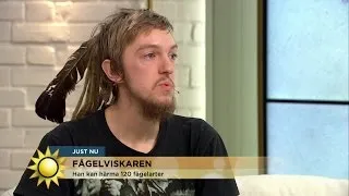 Han kan härma 120 fågelarter - Nyhetsmorgon (TV4)