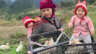 The boy sat alone playing with two ducklings while his mother went to work