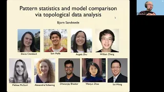 Björn Sandstede (05/15/24): Pattern statistics and model comparison via topological data analysis